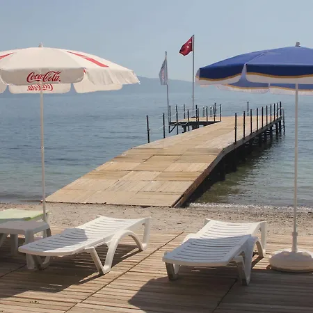 Otel Coastlight 4*