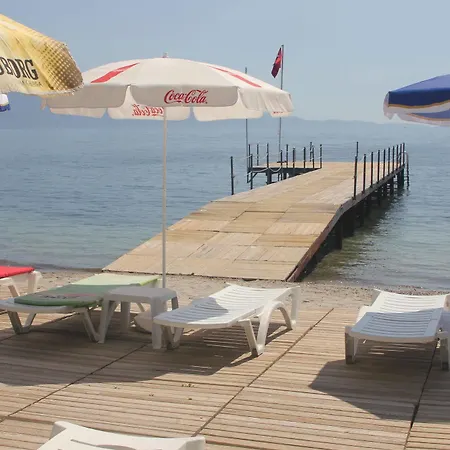 Coastlight ホテル